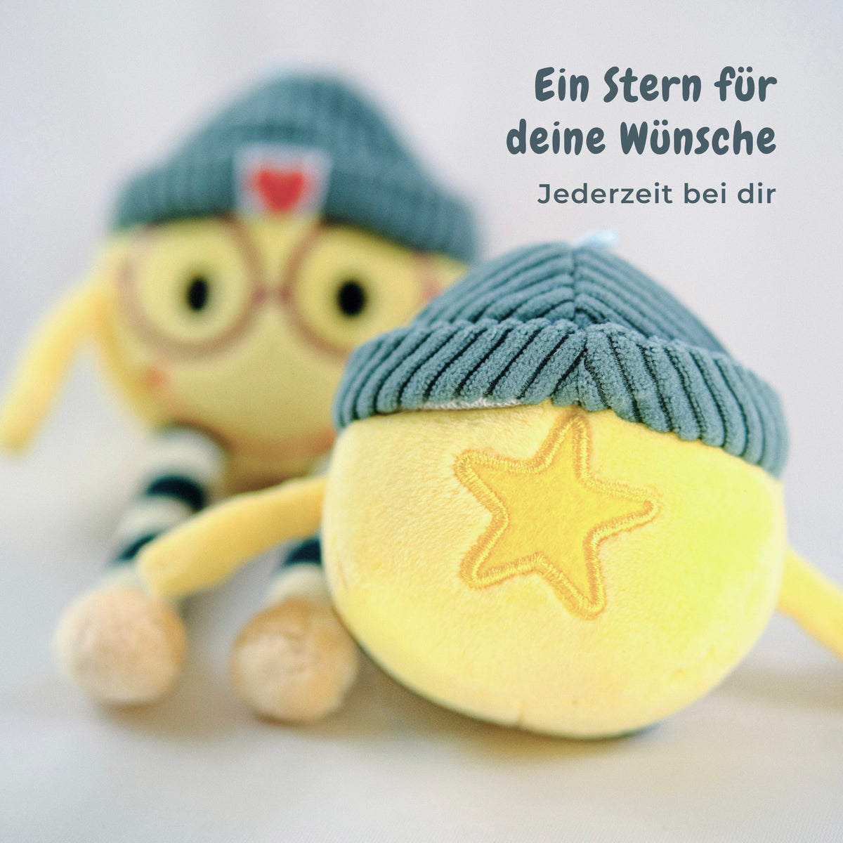 Karly im Schlafsack in der Box